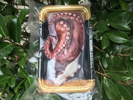 地タコフイレ5点セット