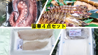 豪華4点セット(得々セット)