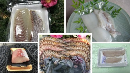 わくわく贈答お刺身ボックス8~9人用(1kg以上)