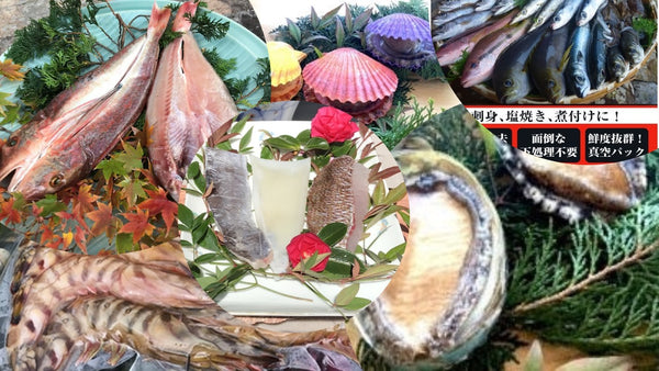 天草わくわく定期便各月払い(1か月分無料) 送料無料