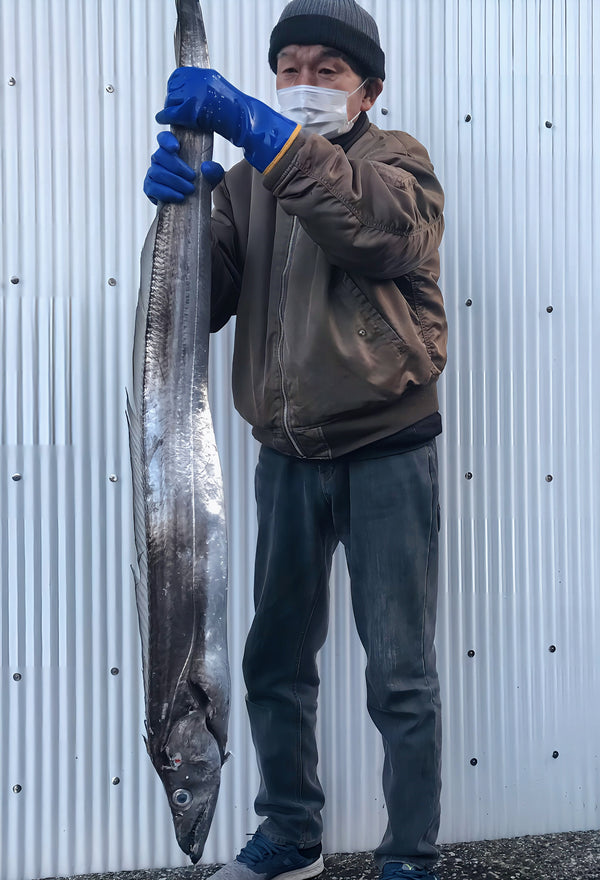 今月のお勧めセット(超高級魚を手ごろな価格で家庭の食卓へ)