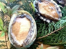 天草わくわく魚貝類セットデラックス