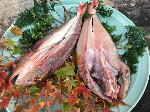 旬魚一夜干しセット