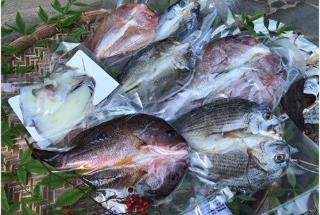 旬魚一夜干しセット
