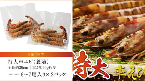 天草わくわく定期便各月払い(1か月分無料) 送料無料