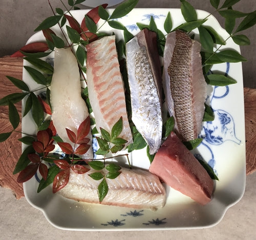 天草わくわく旬魚刺身づくしさく(5~6人前) 魚種は季節により変わります。
