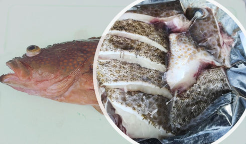 煮魚用切り身【オーモンハタ】