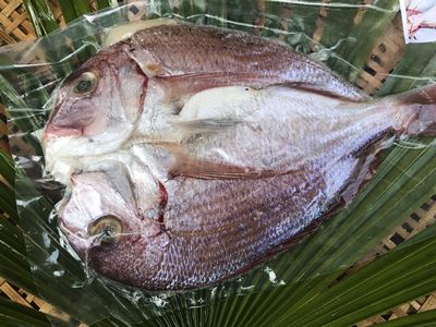 旬魚一夜干しセット