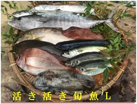 旬魚1万2千円ボックス(税込み/送料無料)