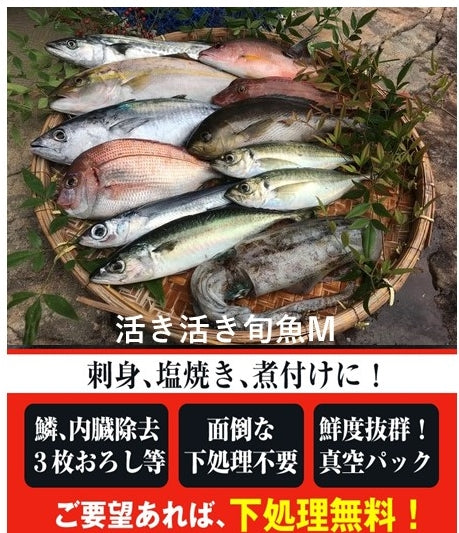 旬魚8千500円ボックス(税込み・送料別)魚種4種以上・合計5kg以上