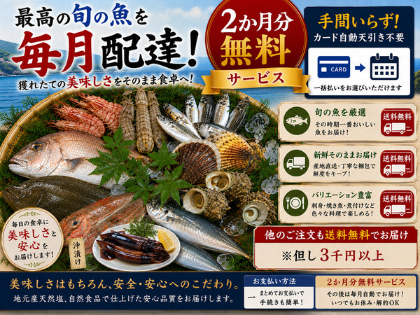 天草わくわく年間定期便1回払い(2か月分無料) 送料無料