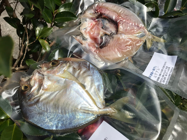 旬魚一夜干し【メッキ(ひらあじ)】