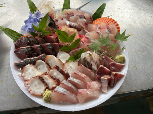 天草わくわく旬魚刺身づくしさく(5~6人前) 魚種は季節により変わります。
