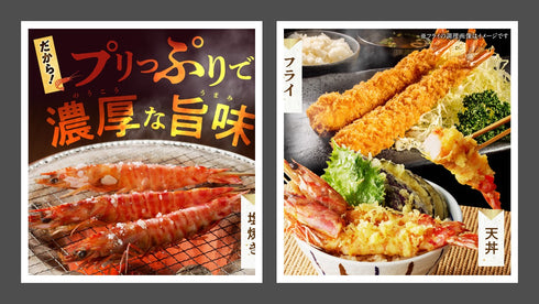 わくわく贈答お刺身ボックス6~7人用(800g以上) (コピー)