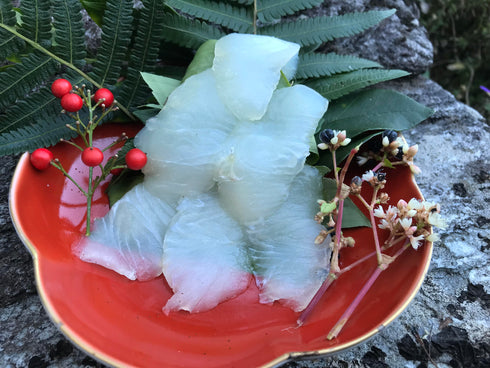 ウスバハギ 価格はマルのまま(下処理前)の500g相当分