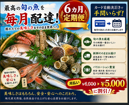 天草わくわく6カ月定期便各月払い