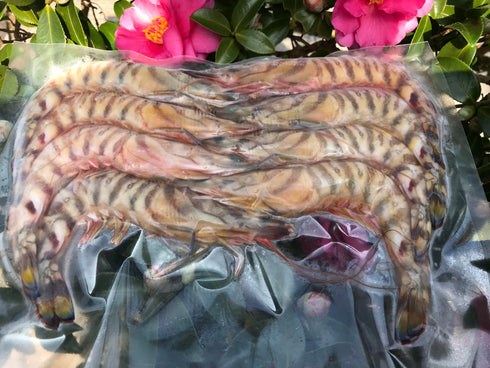 車エビ大1パック 人気NO1の商品です、売り切れ御免になります。